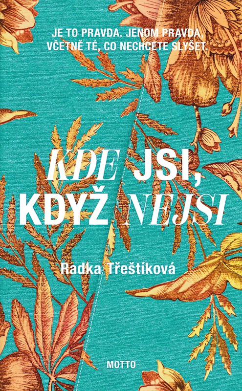 Kde jsi, když nejsi - Radka Třeštíková