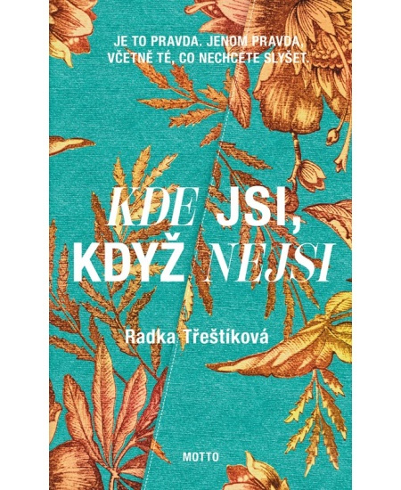 Kde jsi, když nejsi - Radka Třeštíková