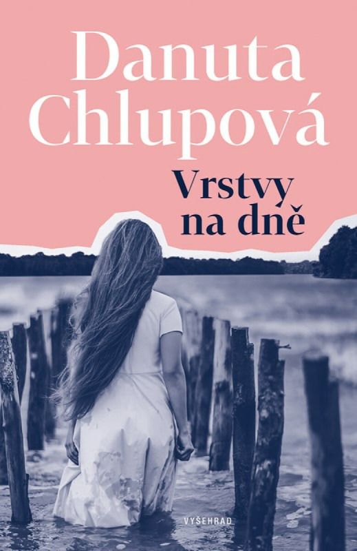 Vrstvy na dně - Danuta Chlupová