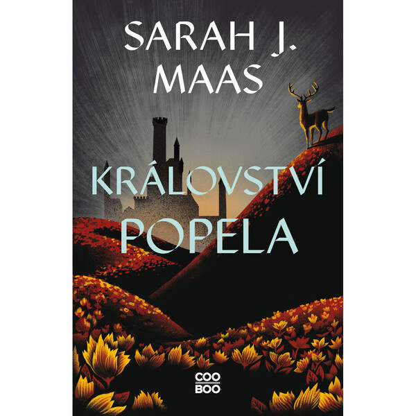 Království popela