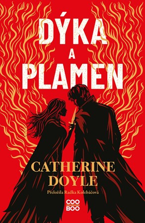 Dýka a plamen - Catherine Doyle