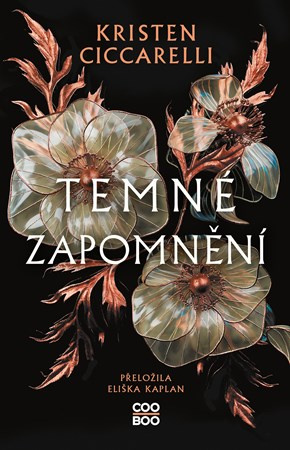 Temné zapomnění - Kristen Ciccarelli