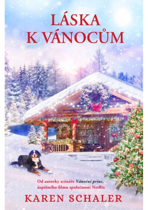 Láska k Vánocům - Karen Schaler