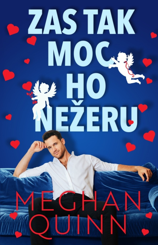 Zas tak moc ho nežeru Baronet a. s.