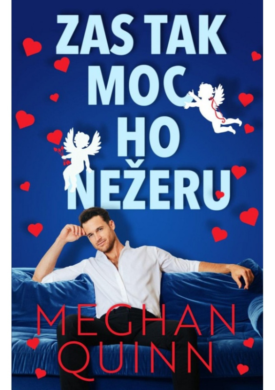 Zas tak moc ho nežeru Baronet a. s.