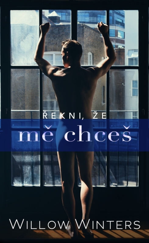 Řekni, že mě chceš Baronet a. s.