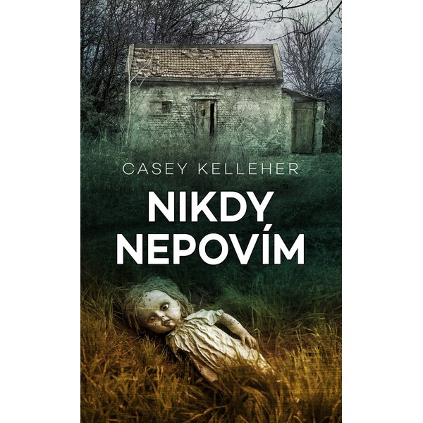 Nikdy nepovím - Casey Kelleher