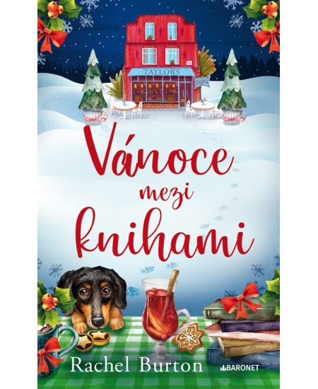 Vánoce mezi knihami - Rachel Burton