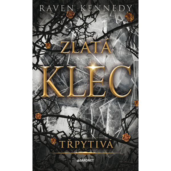 Třpytivá - Raven Kennedy