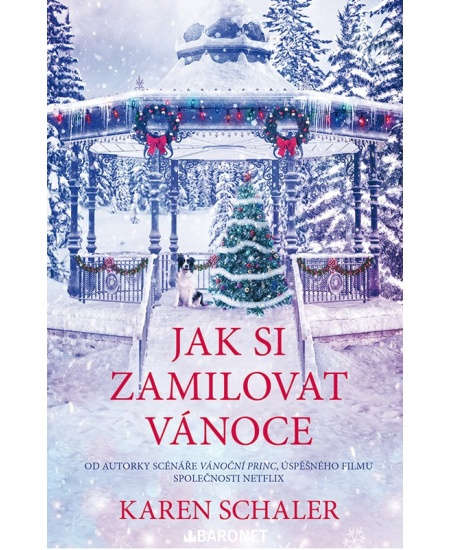 Vánoce v Shelter Inn - RaeAnne Thayne