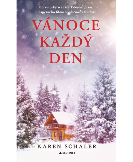 Vánoce každý den - Karen Schaler