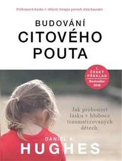 Budování citového pouta - Daniel A. Hughes