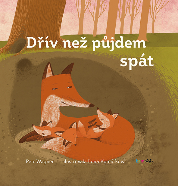 Dřív, než půjdem spát - Petr Wagner