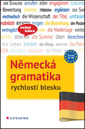 Německá gramatika rychlostí blesku - Sarah Fleer