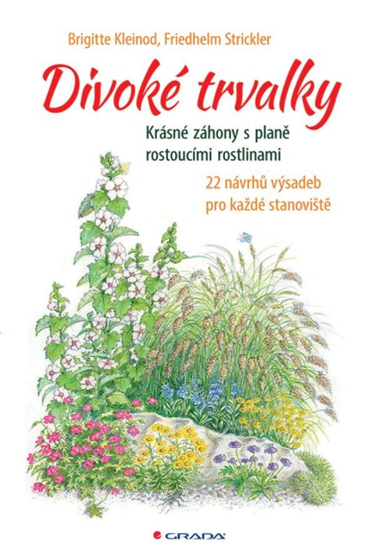 Divoké trvalky - Brigitte Kleinod, Friedhelm Strickler