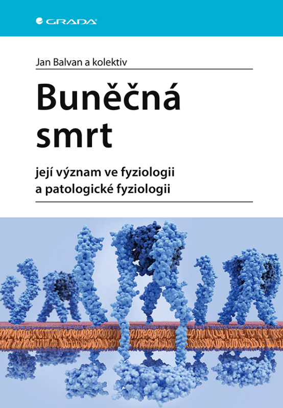 Buněčná smrt - kolektiv, Jan Balvan