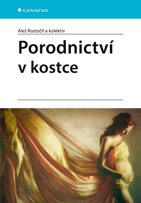 Porodnictví v kostce - Aleš Roztočil, kolektiv