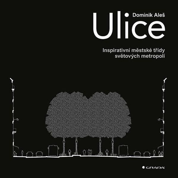 Ulice - Aleš Dominik