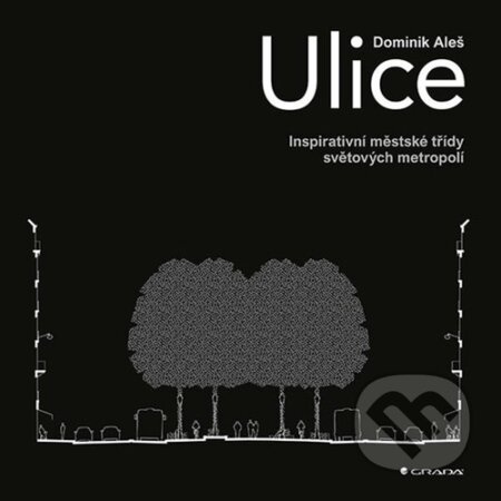 Ulice - Aleš Dominik