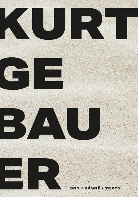 Kurt Gebauer - sny / básně / texty - Kurt Gebauer - kniha z kategorie Poezie
