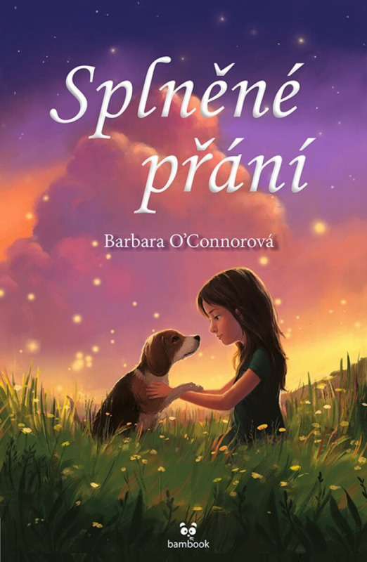 Splněné přání - Barbara O´Connorová