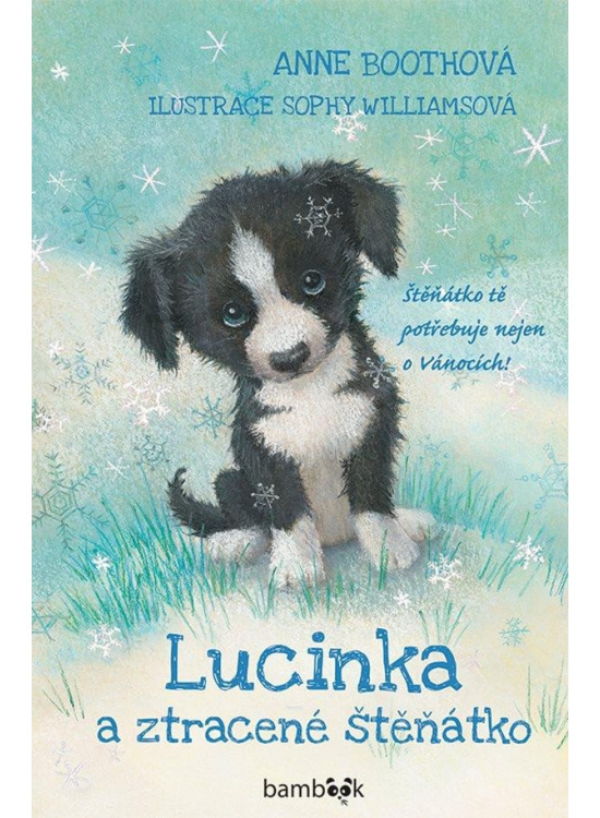 Lucinka a ztracené štěňátko - Anne Bootheová