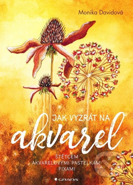 Jak vyzrát na akvarel - Davidová Monika