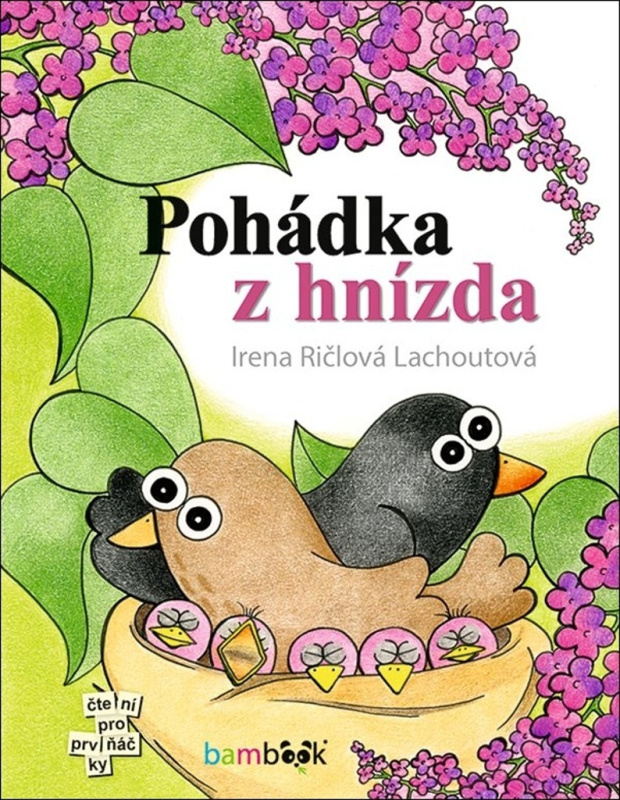 Pohádka z hnízda - Irena Ričlová Lachoutová