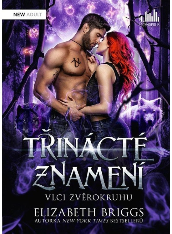 Třinácté znamení - Elizabeth Briggsová