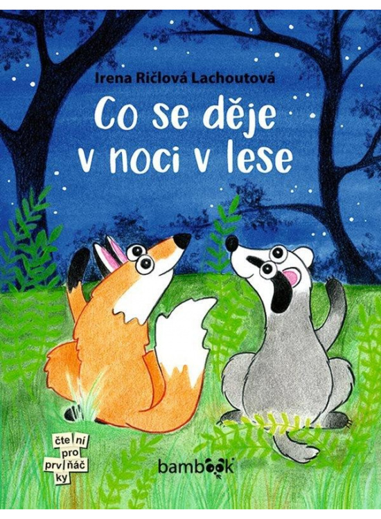 Co se děje v noci v lese - Irena Ričlová Lachoutová