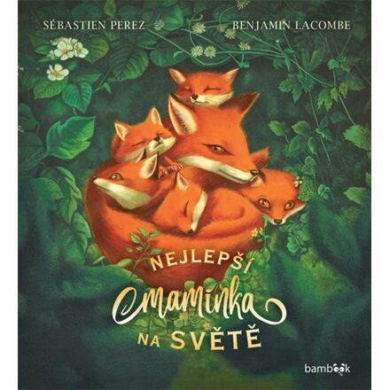Nejlepší maminka na světě - Sébastien Perez