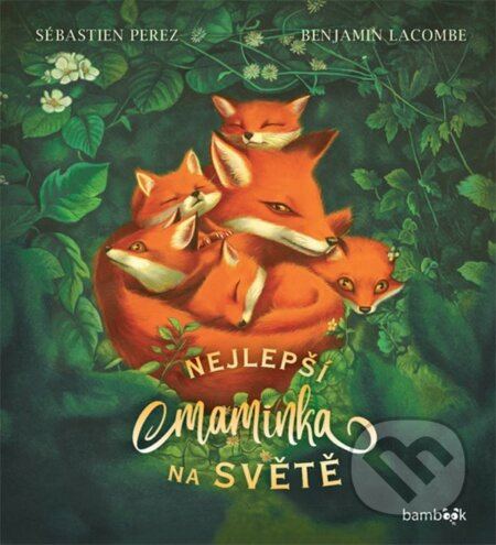 Nejlepší maminka na světě - Sébastien Perez