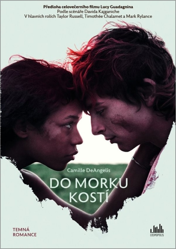 Do morku kostí - Camille DeAngelisová