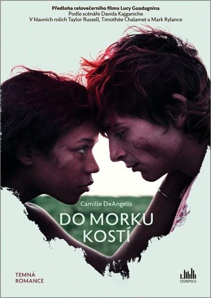 Do morku kostí - Camille DeAngelisová