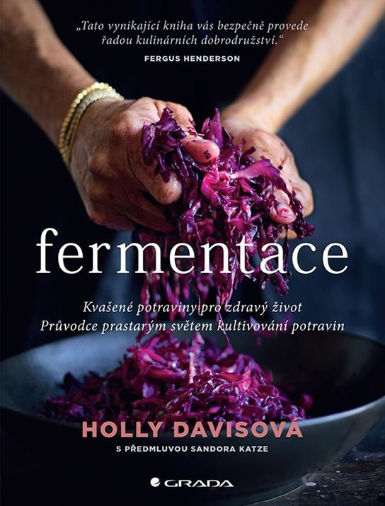 E-kniha: Fermentace od Davisová Holly