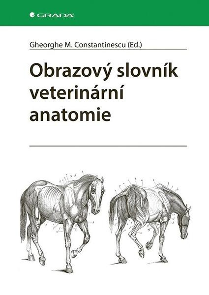 Obrazový slovník veterinární anatomie - Gheorghe M. Constantinescu