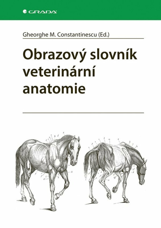 Obrazový slovník veterinární anatomie - Gheorghe M. Constantinescu
