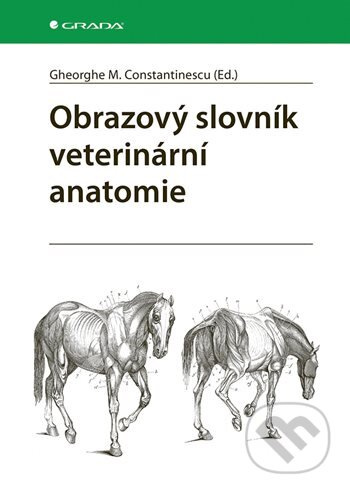 Obrazový slovník veterinární anatomie - Gheorghe M. Constantinescu