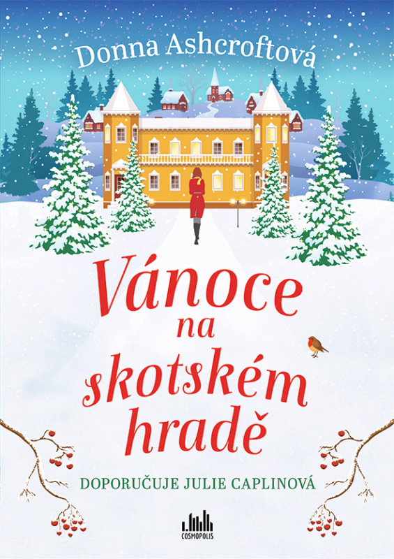 Vánoce na skotském hradě - Donna Ashcroftová