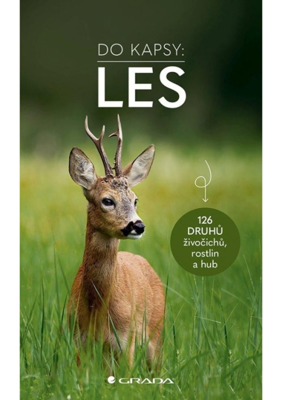 Les - Do kapsy - Ute Wilhelmsenová
