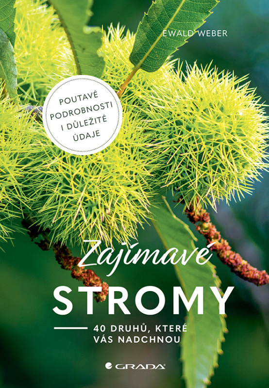 Zajímavé stromy - Ewald Weber