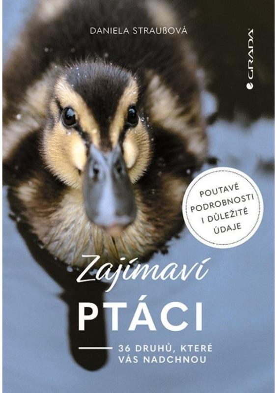 Zajímaví ptáci - Daniela Straußová