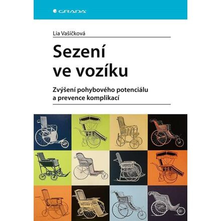 Sezení ve vozíku - Lia Vašičková