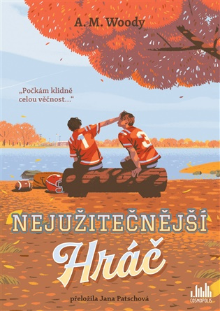 Nejužitečnější hráč