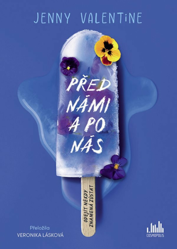 Kniha: Před námi a po nás od Valentine Jenny