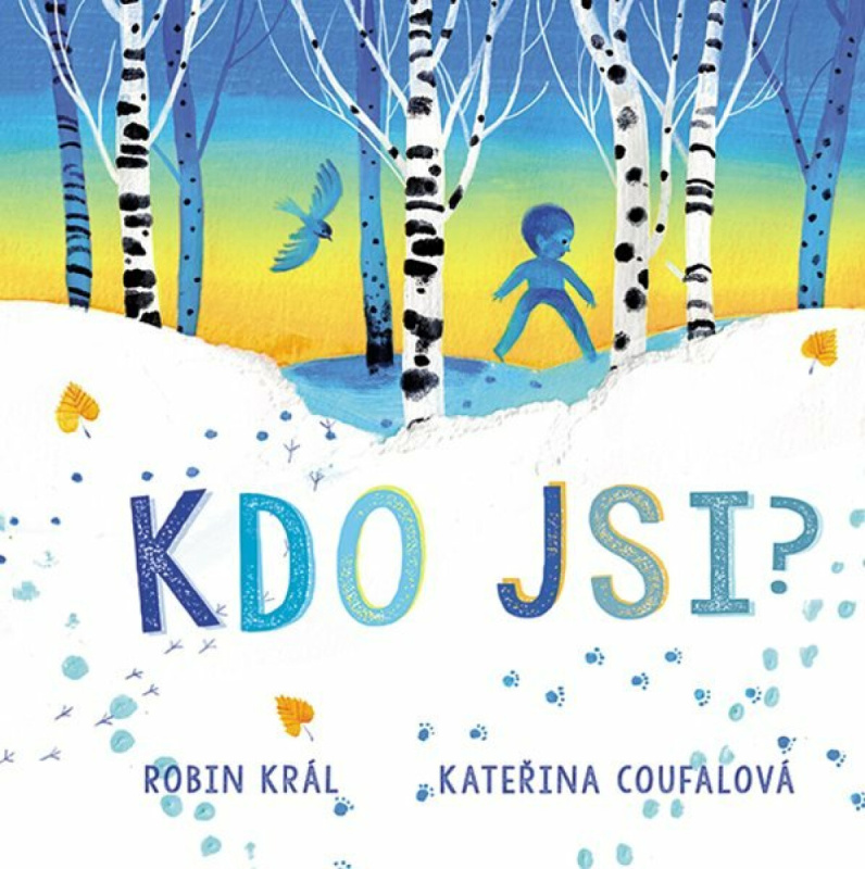 Kdo jsi? - Robin Král