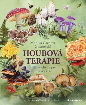Kniha: Houbová terapie od Golasovská Monika