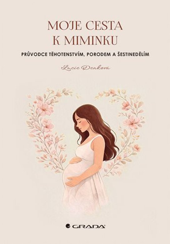 E-kniha: Moje cesta k miminku od Denková Lucie