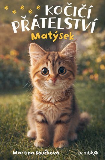 E-kniha: Kočičí přátelství - Matýsek od Boučková Martina