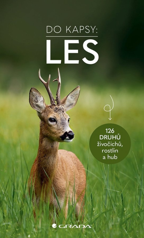 E-kniha: Les - Do kapsy od Wilhelmsenová Ute
